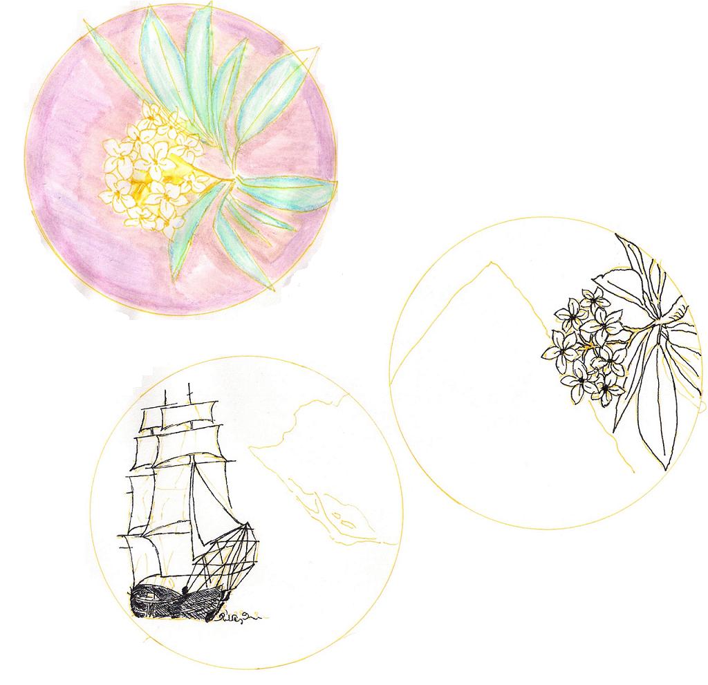 Coin-Design-Contest!!